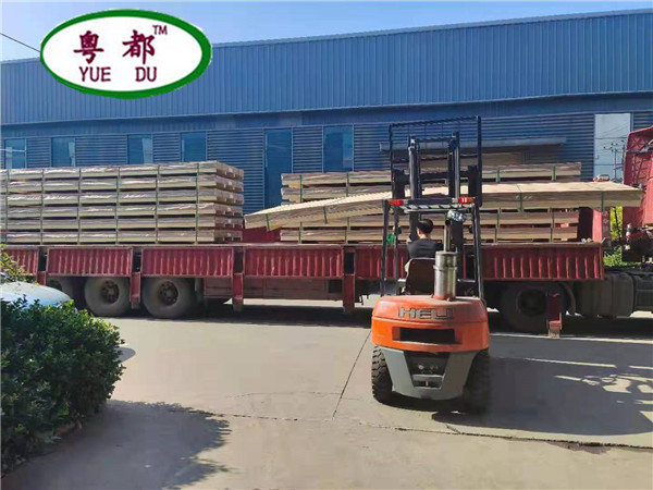 廠(chǎng)區實(shí)景